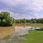 Flooding Update from GBC